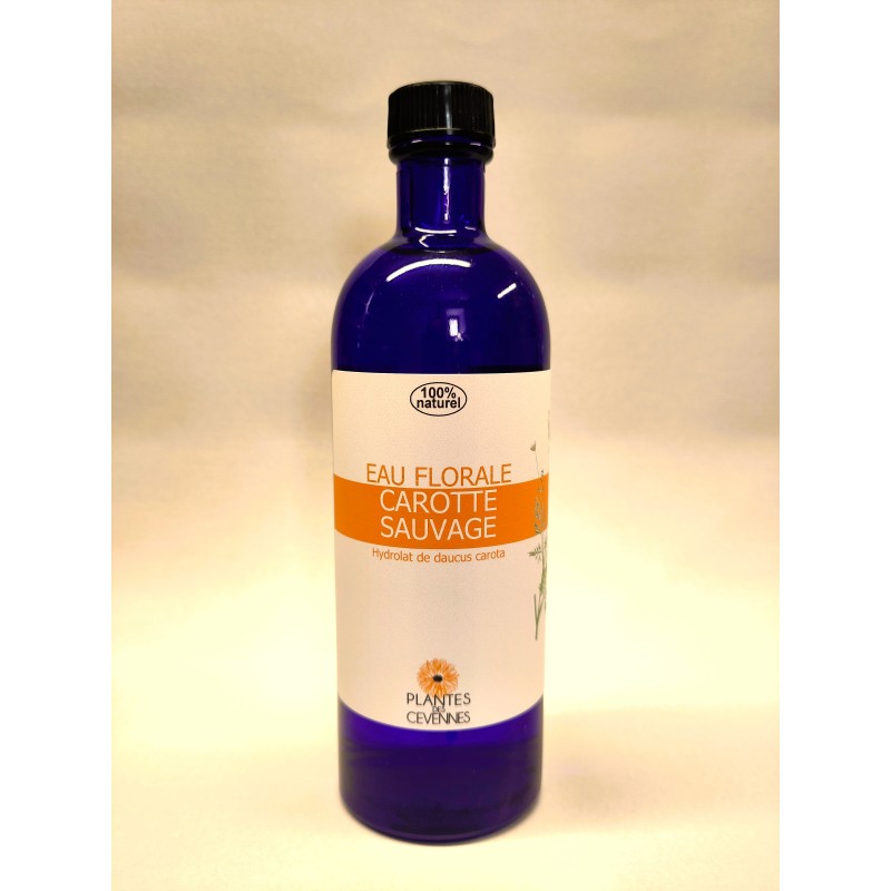 Eau florale Carotte sauvage