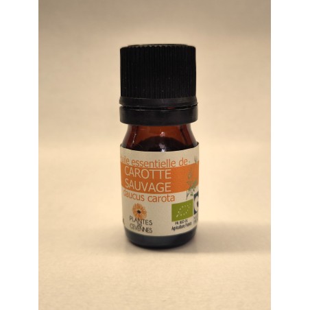 Huile essentielle de Carotte sauvage